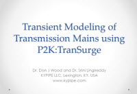 Dr. Lingireddy's South Africa Pipe2012: TranSurge Presentation (Dec. 2012)